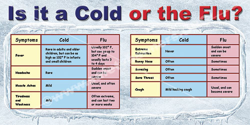 Is it a cold or the flu winter safety banner