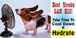 Safety Banners Images 68 1192 safety banners images