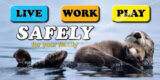 Live Work Play Safely for your Family