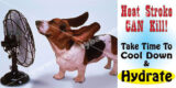 Heat Stroke Can Kill. Take Time to Cool Down & Hydrate