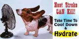 Heat Stroke Can Kill. Take Time to Cool Down & Hydrate