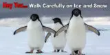 21769 Walk Carefully on Ice & Snow