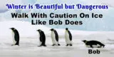 21770 Walk With Caution on Ice Like Bob